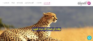 شرکت اکسینو